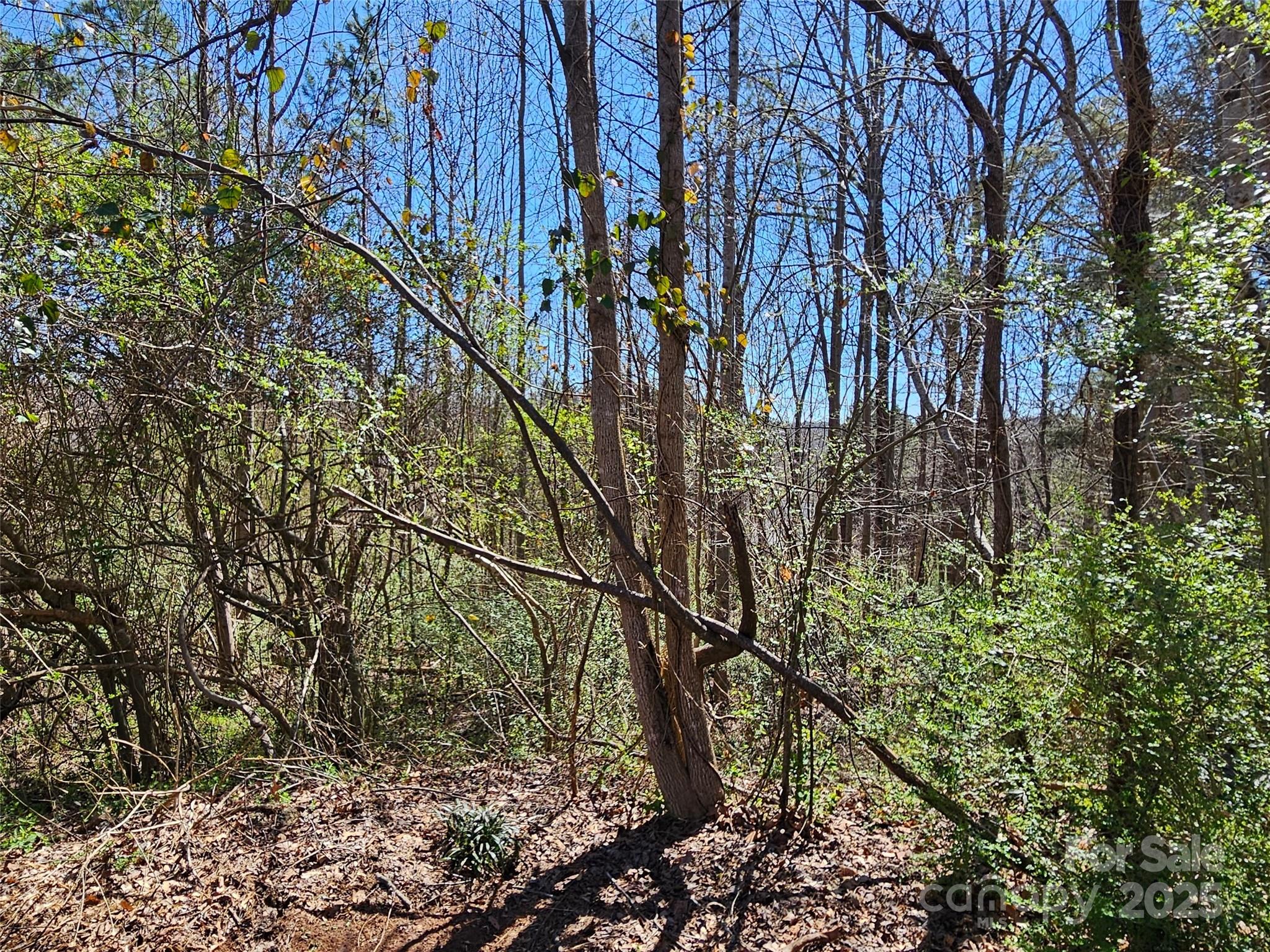 0 Gray Court, Unit 56 & 55 Rutherfordton, NC 28139 - Photo 3 of 9 a backyard of a house with lots of green space