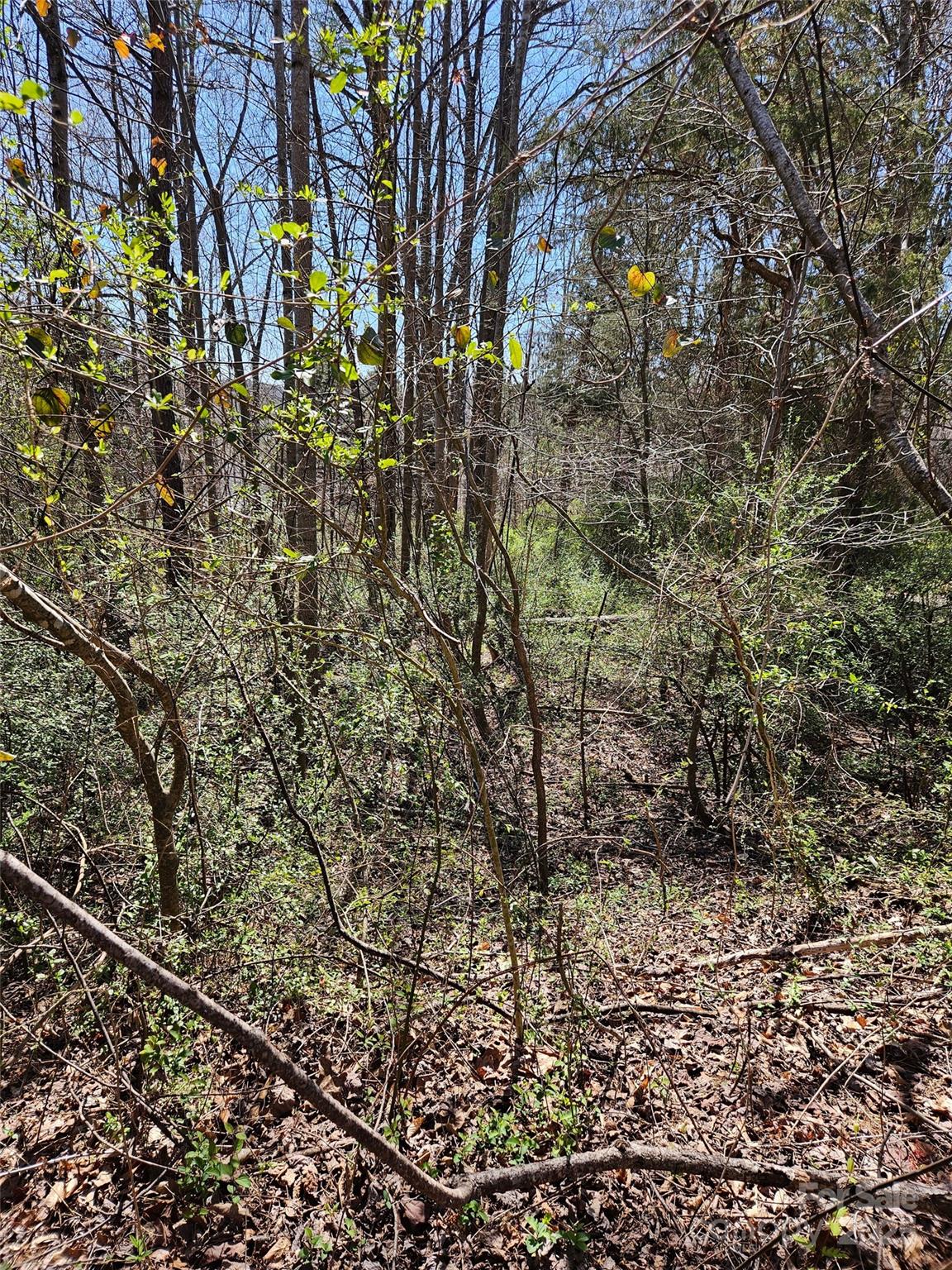 0 Gray Court, Unit 56 & 55 Rutherfordton, NC 28139 - Photo 5 of 9 a view of a yard