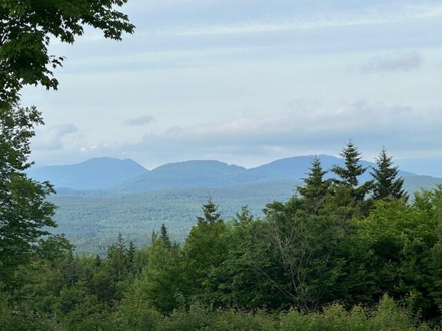 1 Alpine Ridge Drive Greenville, ME 04441 - Photo 1 of 3 IMG_2031