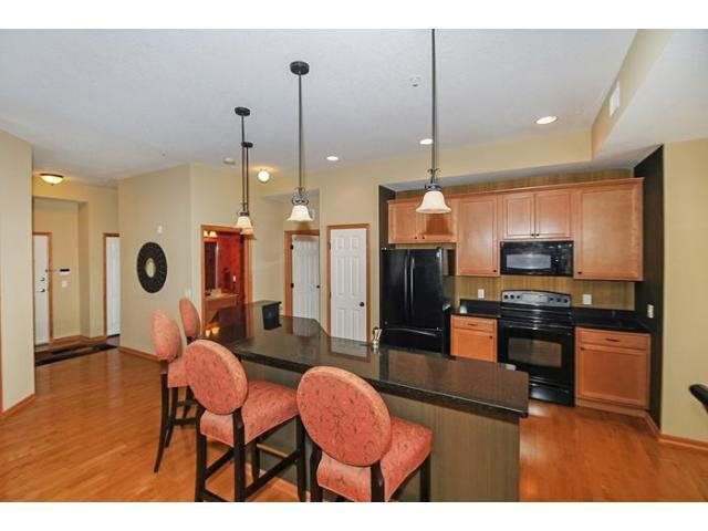 1256 County Rd D East, Unit 102 Maplewood, MN 55109 - Photo 3 of 18 Gallery Image 3