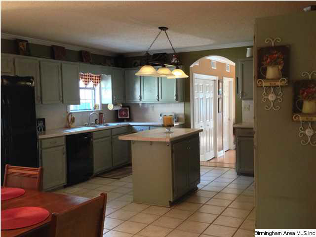 45 Ridge Top Lane Springville, AL 35146 - Photo 6 of 30