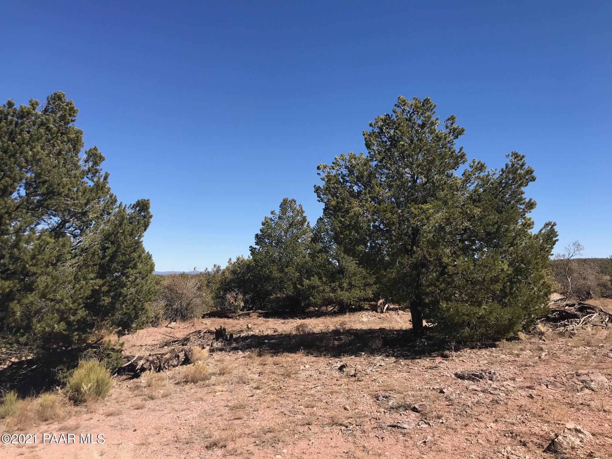 42 Off Of Arizona Road Ash Fork, AZ 86320 - Photo 4 of 10 IMG_0948