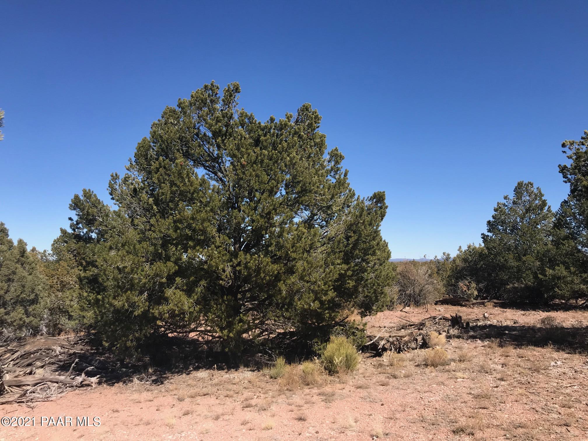 42 Off Of Arizona Road Ash Fork, AZ 86320 - Photo 5 of 10 IMG_0949