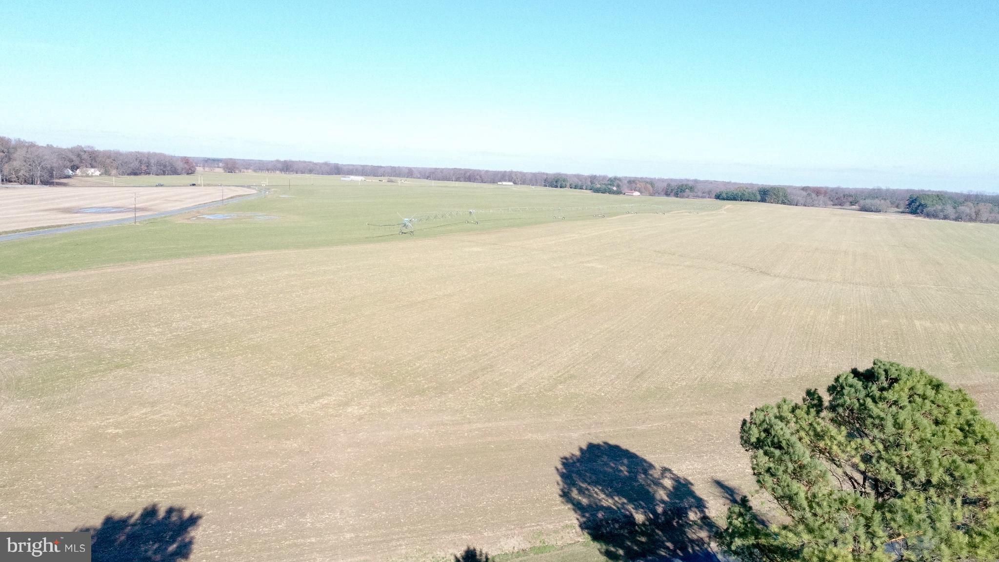 1324 Roe Road Sudlersville, MD 21668 - Photo 23 of 24 Gallery Image 23