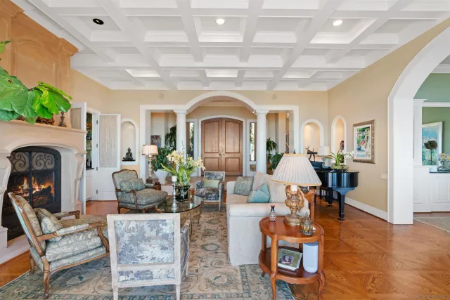 a living room with furniture a fireplace and a potted plant