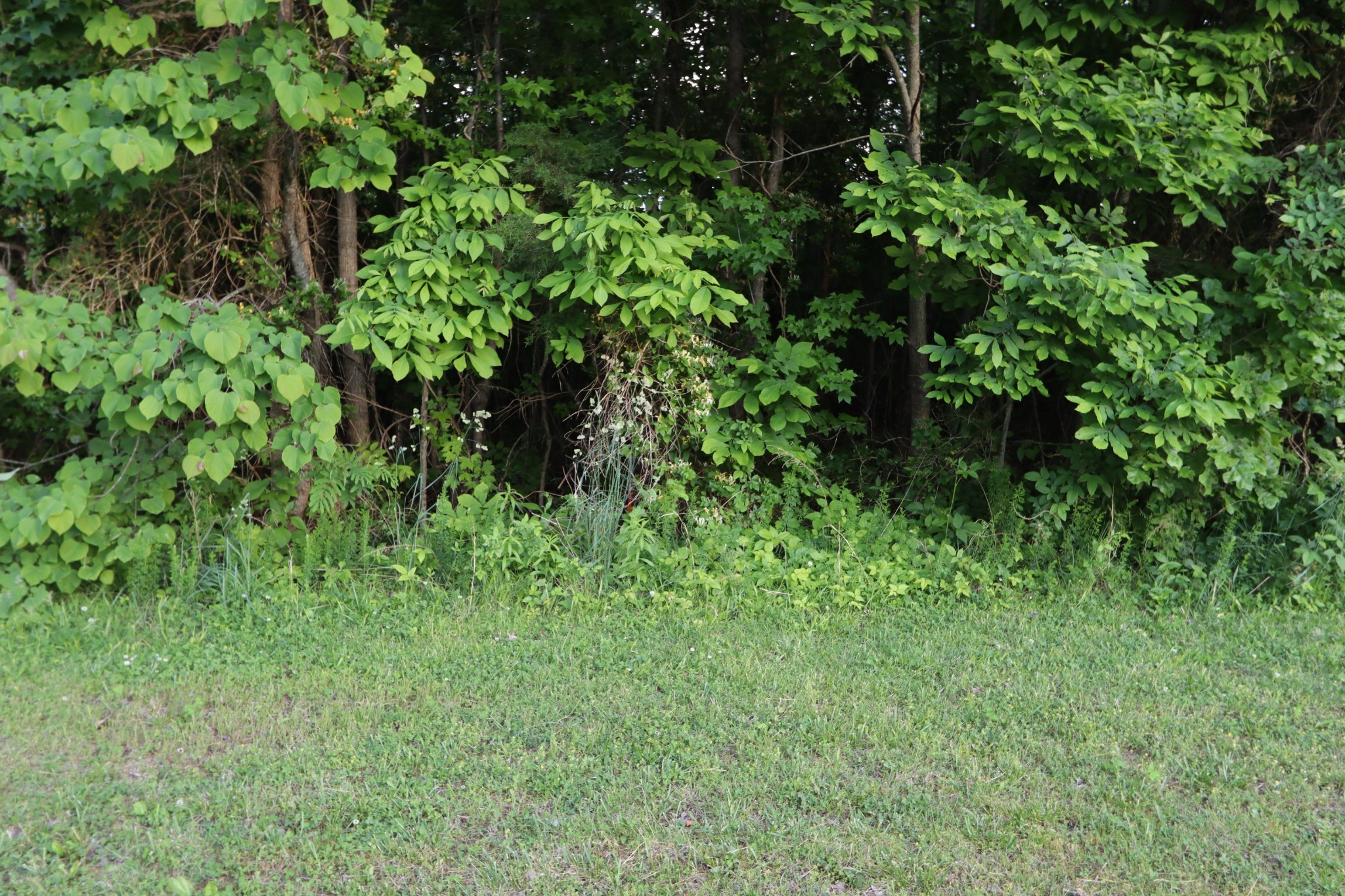 10 Fox Hill Road Baxter, TN 38544 - Photo 1 of 11 Gallery Image 1