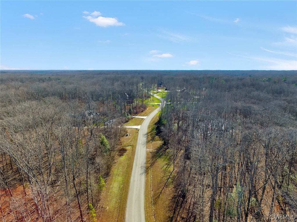 1647 Fallen Timber Trail Powhatan, VA 23139 - Photo 2 of 16
