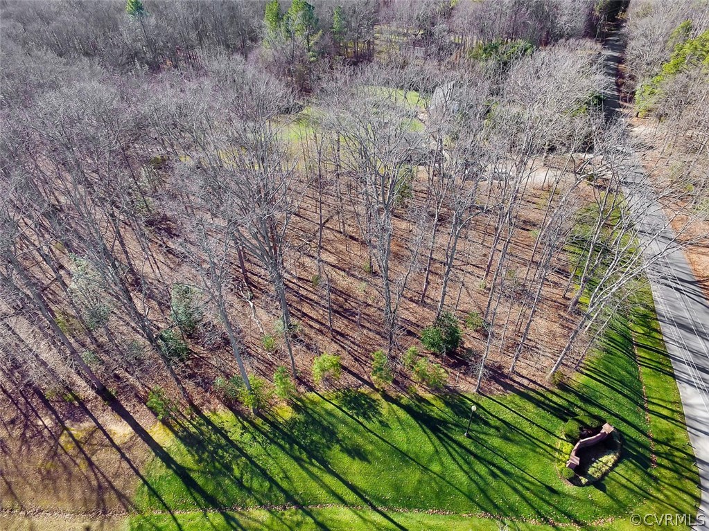 1647 Fallen Timber Trail Powhatan, VA 23139 - Photo 3 of 16