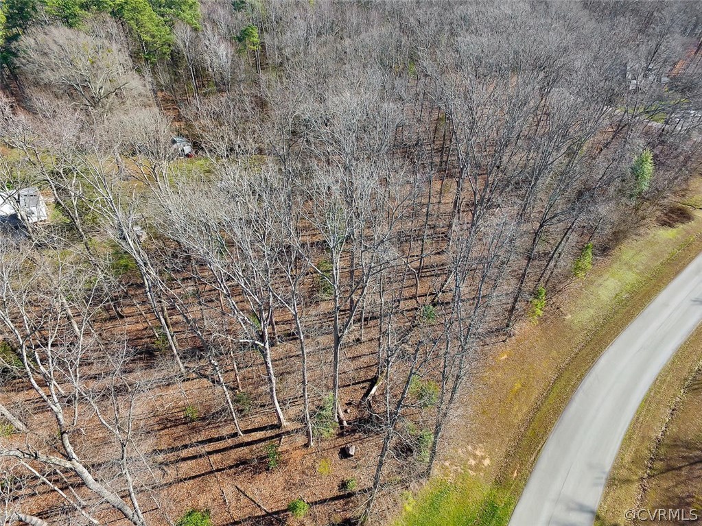 1647 Fallen Timber Trail Powhatan, VA 23139 - Photo 4 of 16