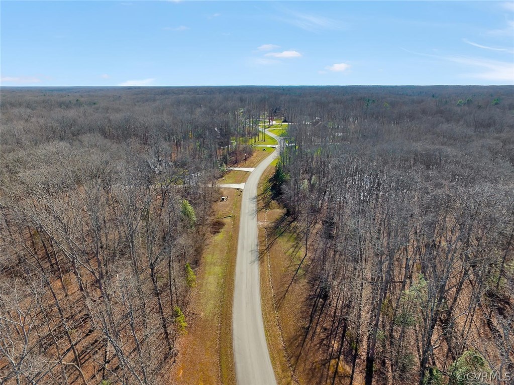 1647 Fallen Timber Trail Powhatan, VA 23139 - Photo 5 of 16