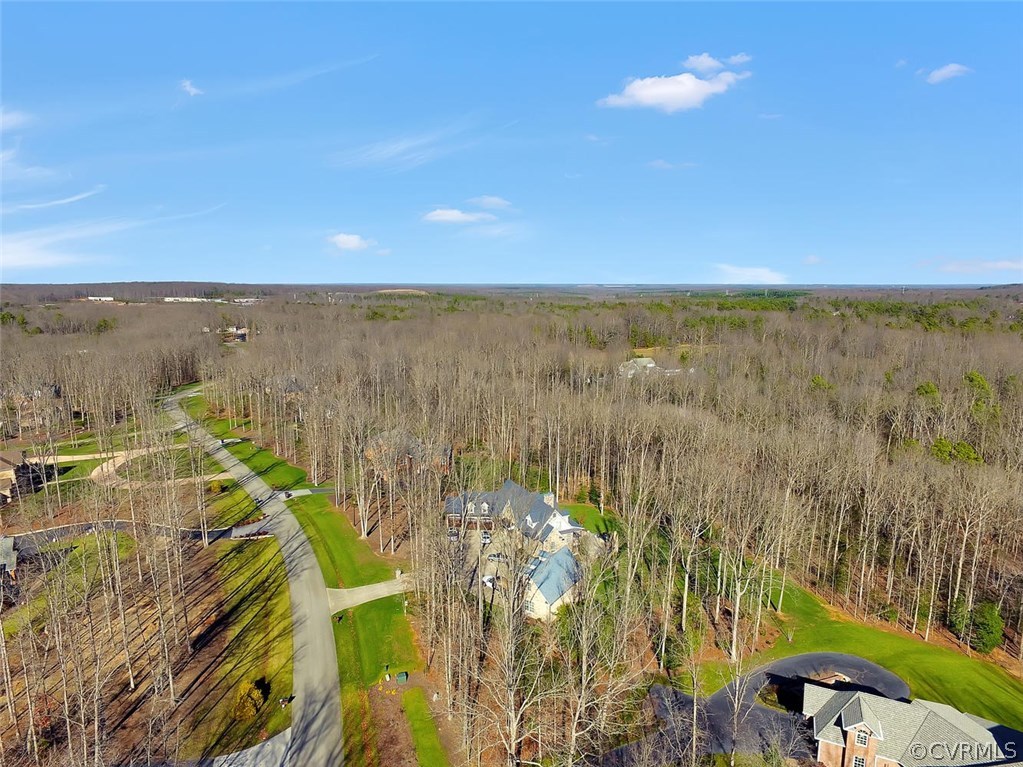 1647 Fallen Timber Trail Powhatan, VA 23139 - Photo 7 of 16