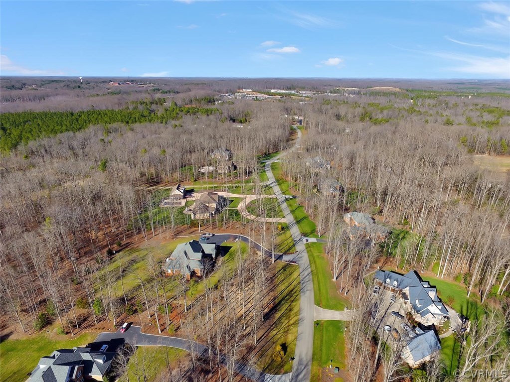 1647 Fallen Timber Trail Powhatan, VA 23139 - Photo 9 of 16