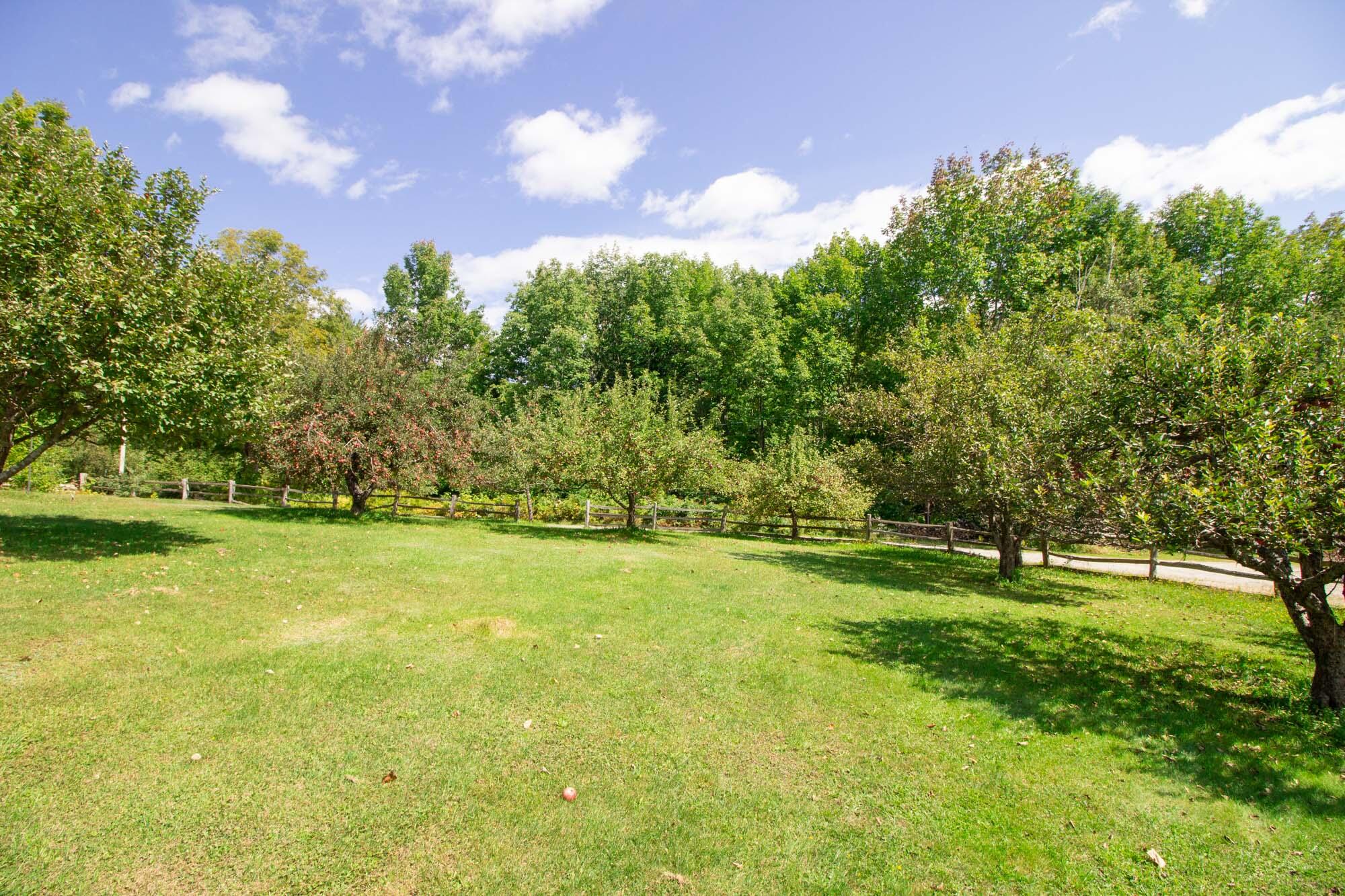 220 Rosenberg Road Sumner, ME 04289 - Photo 63 of 66 220 Rosenberg-66
