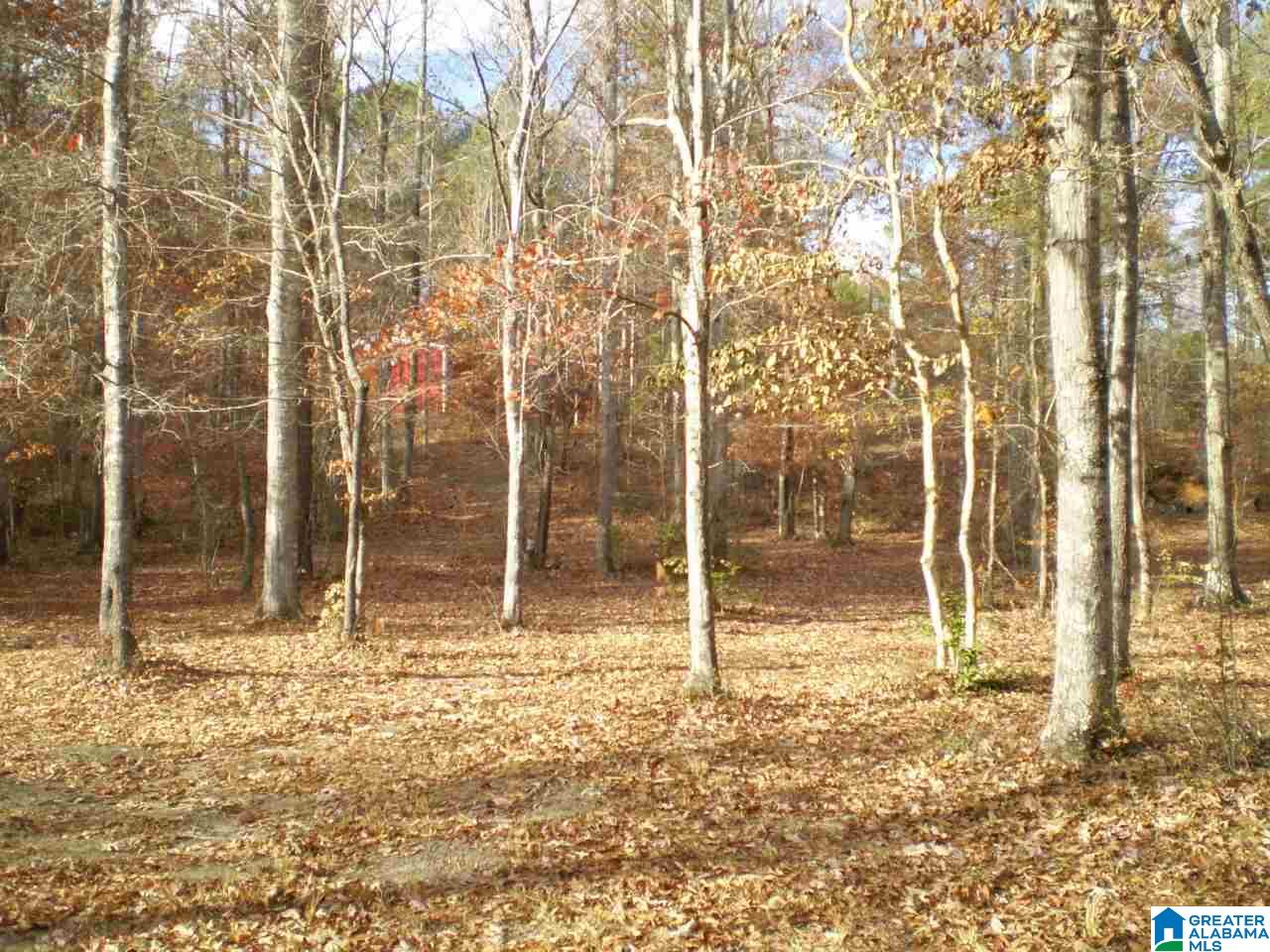 172 Waldrop Road, Unit 9 Ashville, AL 35953 - Photo 33 of 36