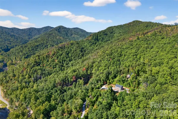 a view of a lush green forest with a houses