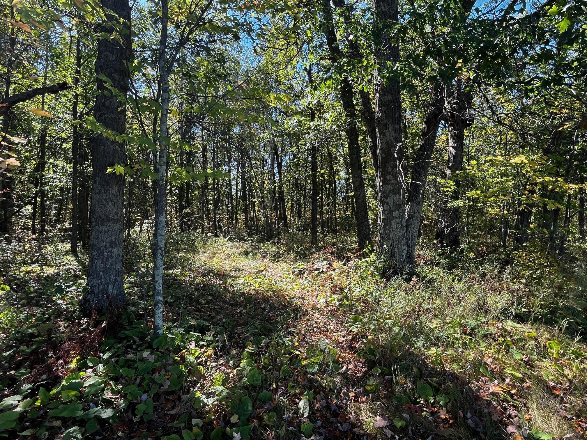 2 County Road 2 Brainerd, MN 56401 - Photo 12 of 20