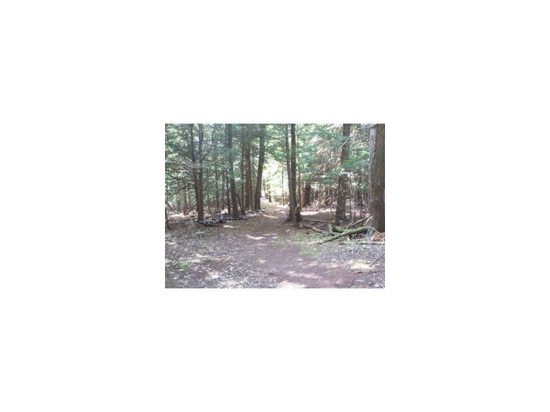 9 Hubbard Farms Road, Unit 17 Orono, ME 04473 - Photo 16 of 17 Back Yard.
