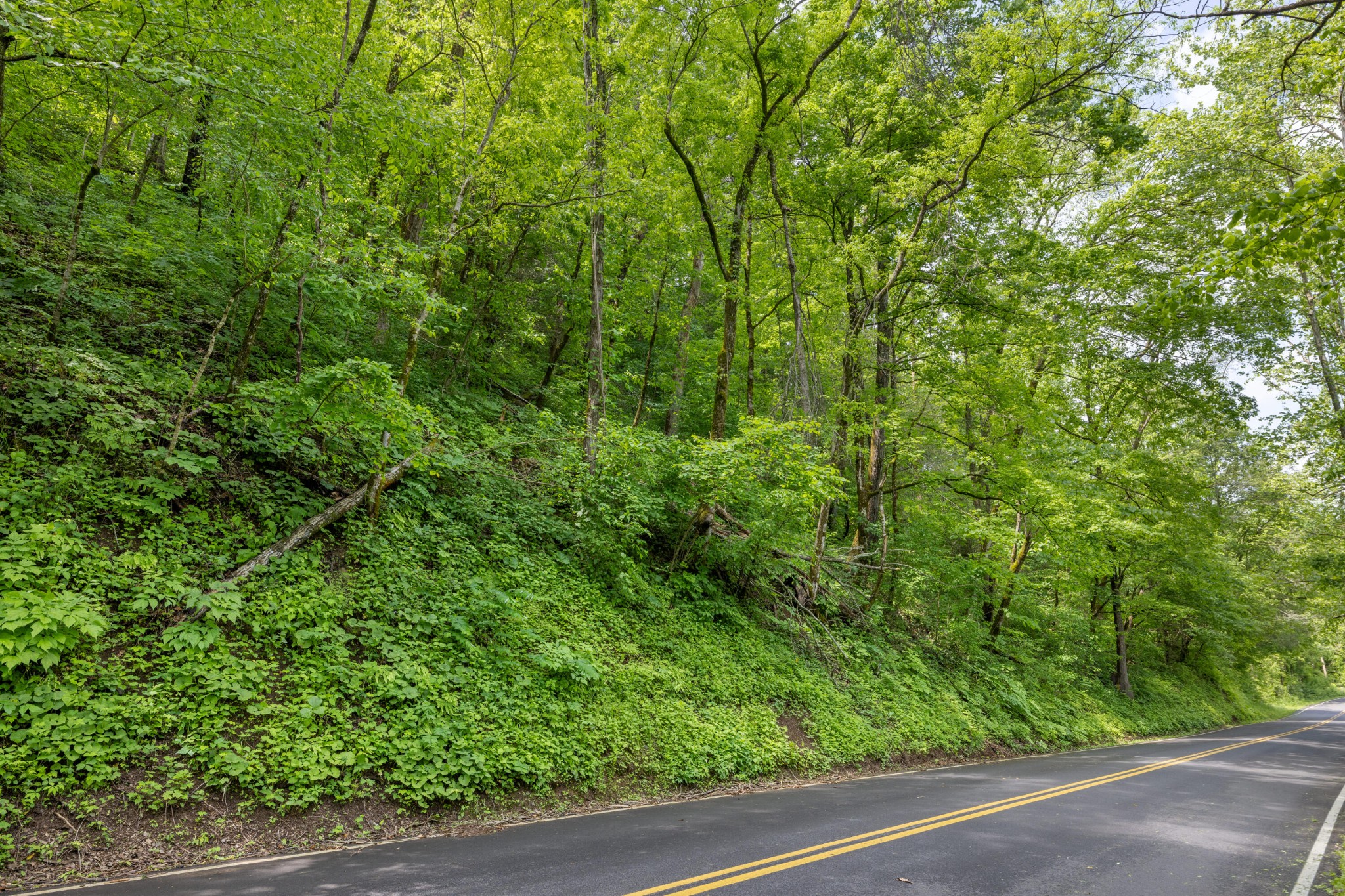 482 Pearl Valley Road Sevierville, TN 37876 - Photo 7 of 13 Gallery Image 7