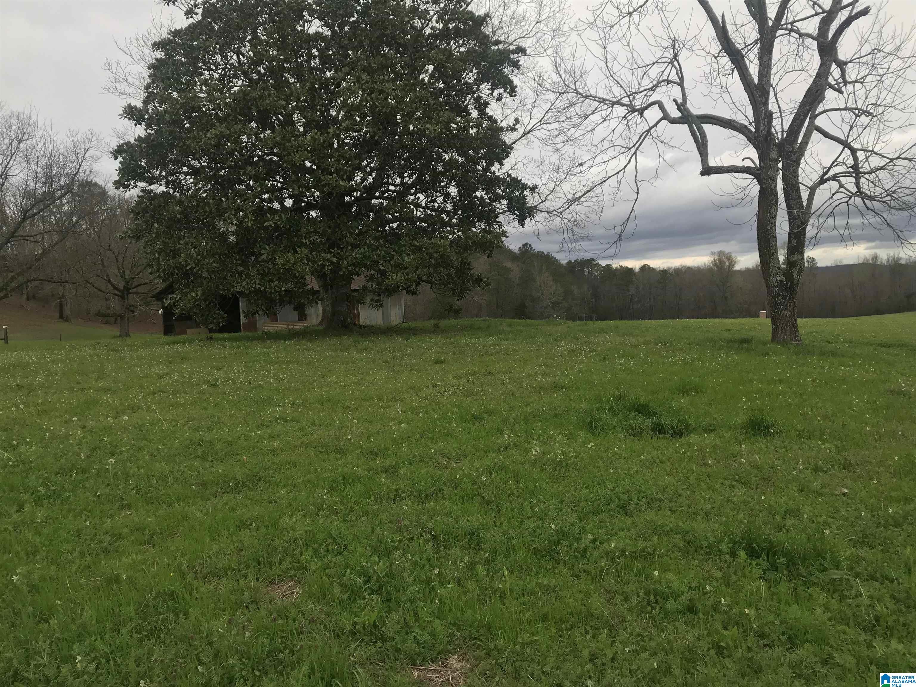 0 Highway 79, Unit 1 Cleveland, AL 35049 - Photo 9 of 10