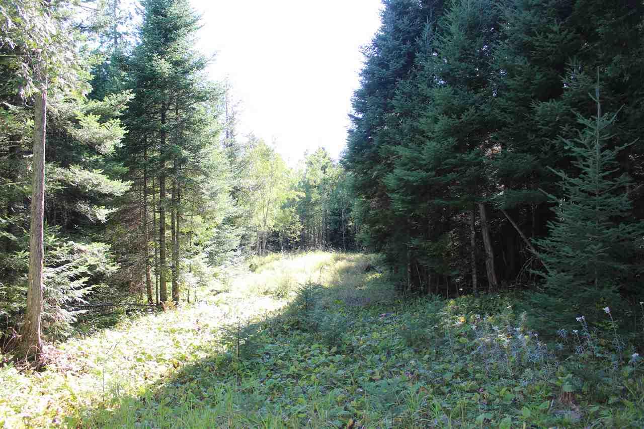 Tbd Poirier Road Virginia, MN 55792 - Photo 1 of 1