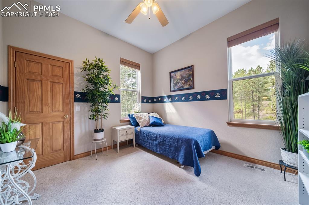 8174 Inca Road Larkspur, CO 80118 - Photo 33 of 50 a bedroom with a bed and a potted plant