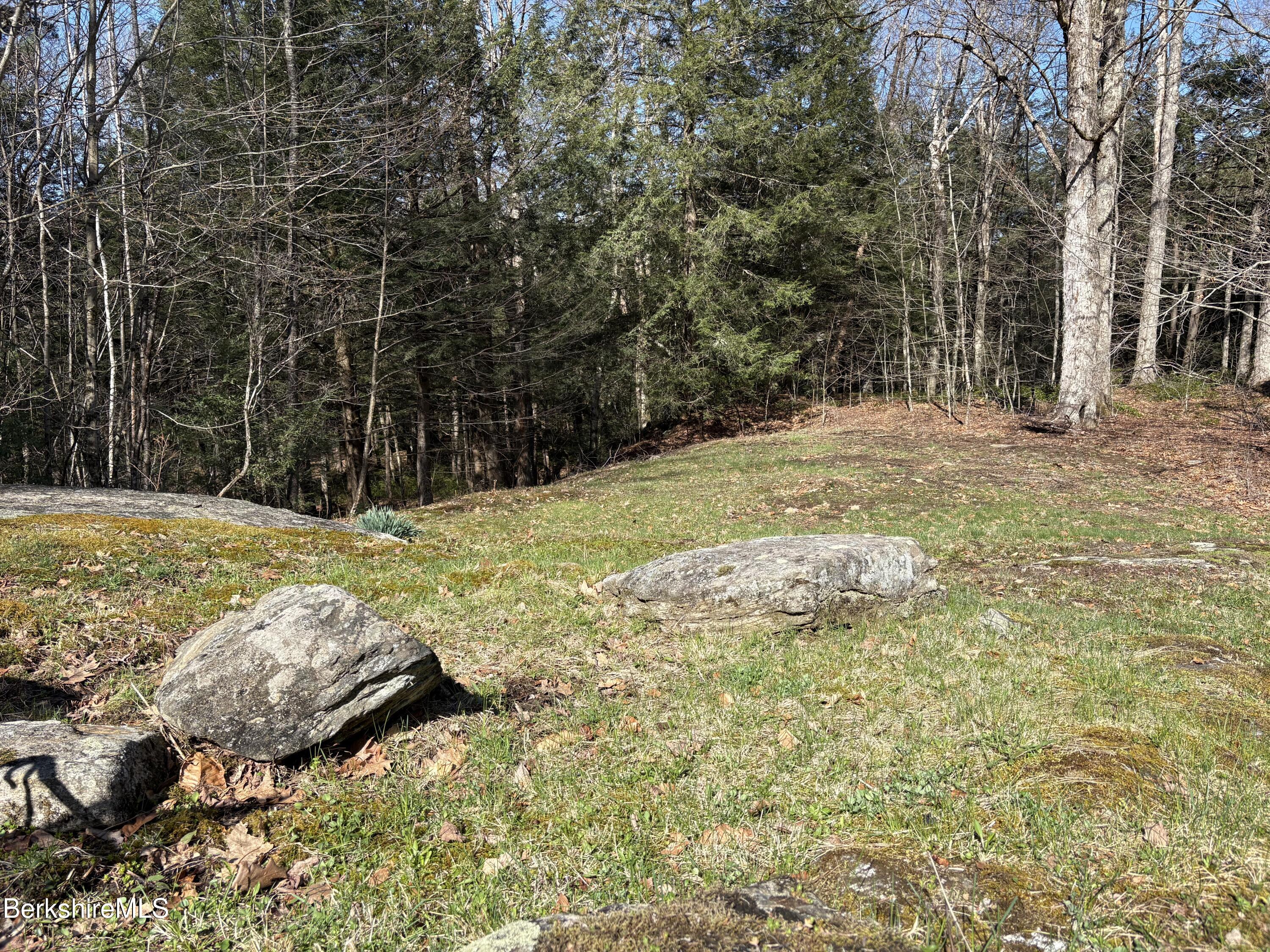 2110 West Center Road Otis, MA 01253 - Photo 15 of 24 a view of a yard with trees