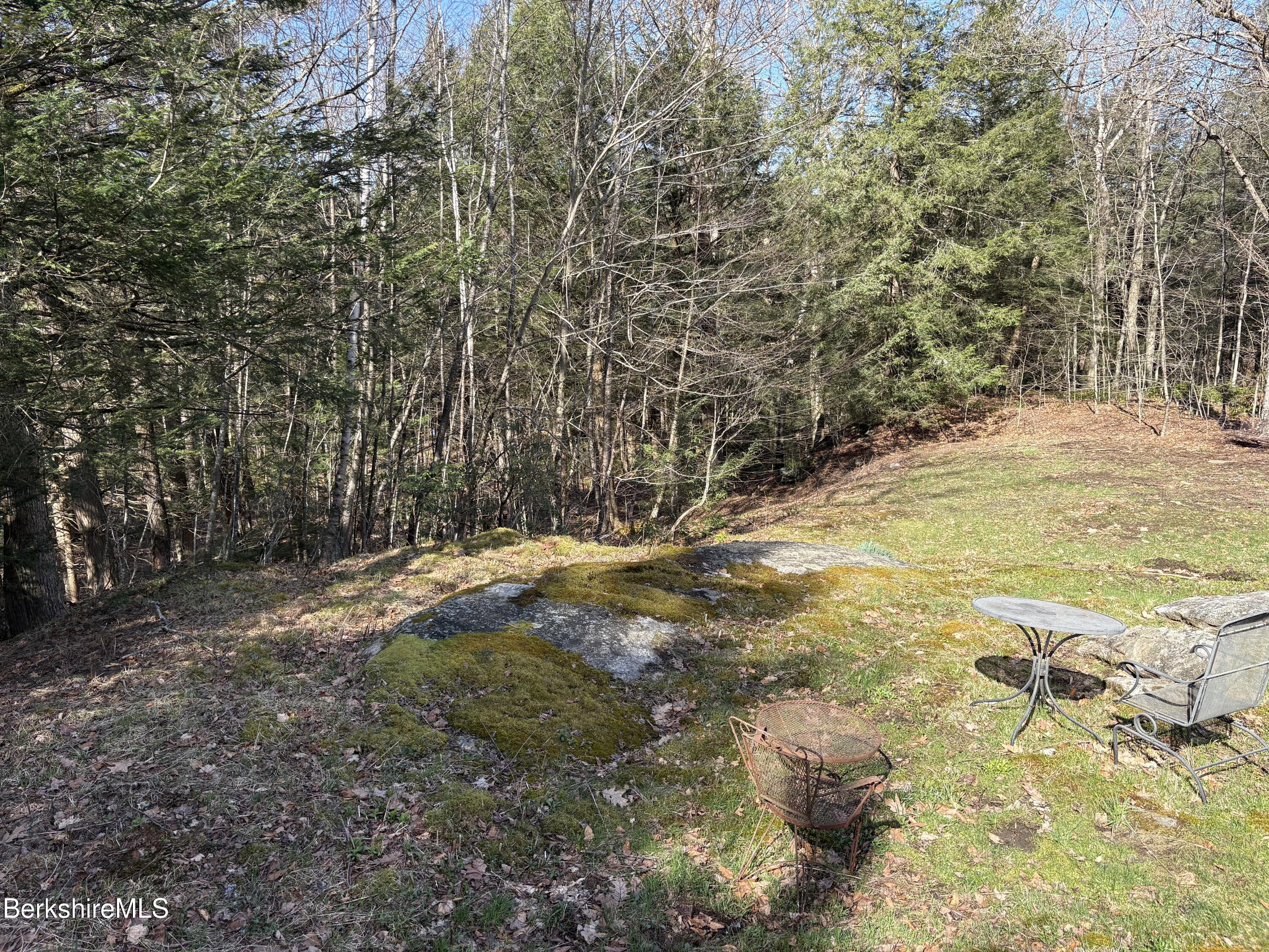 2110 West Center Road Otis, MA 01253 - Photo 16 of 24 a view of yard