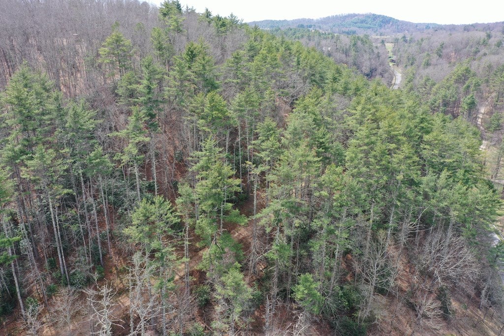 Tbd Powerhouse Road Independence, VA 24348 - Photo 13 of 16 Gallery Image 13