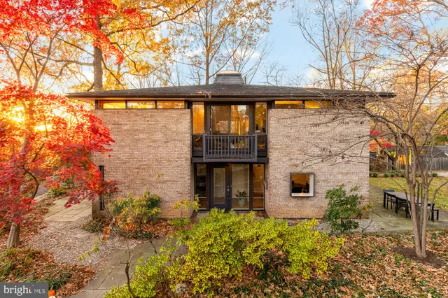 a view of a yard with trees