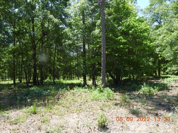 18 Eventing Way Beech Island, SC 29842 - Photo 1 of 4