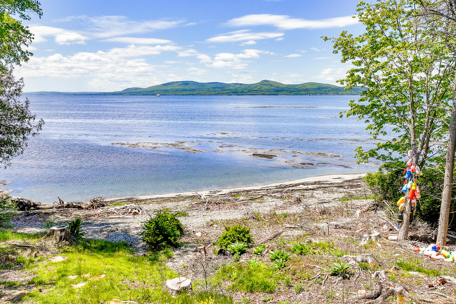 228 Gooseberry Point Road Islesboro, ME 04848 - Photo 6 of 62