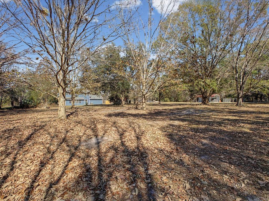 24420 Lanark Road Brooksville, FL 34601 - Photo 42 of 56 a view of outdoor space with trees