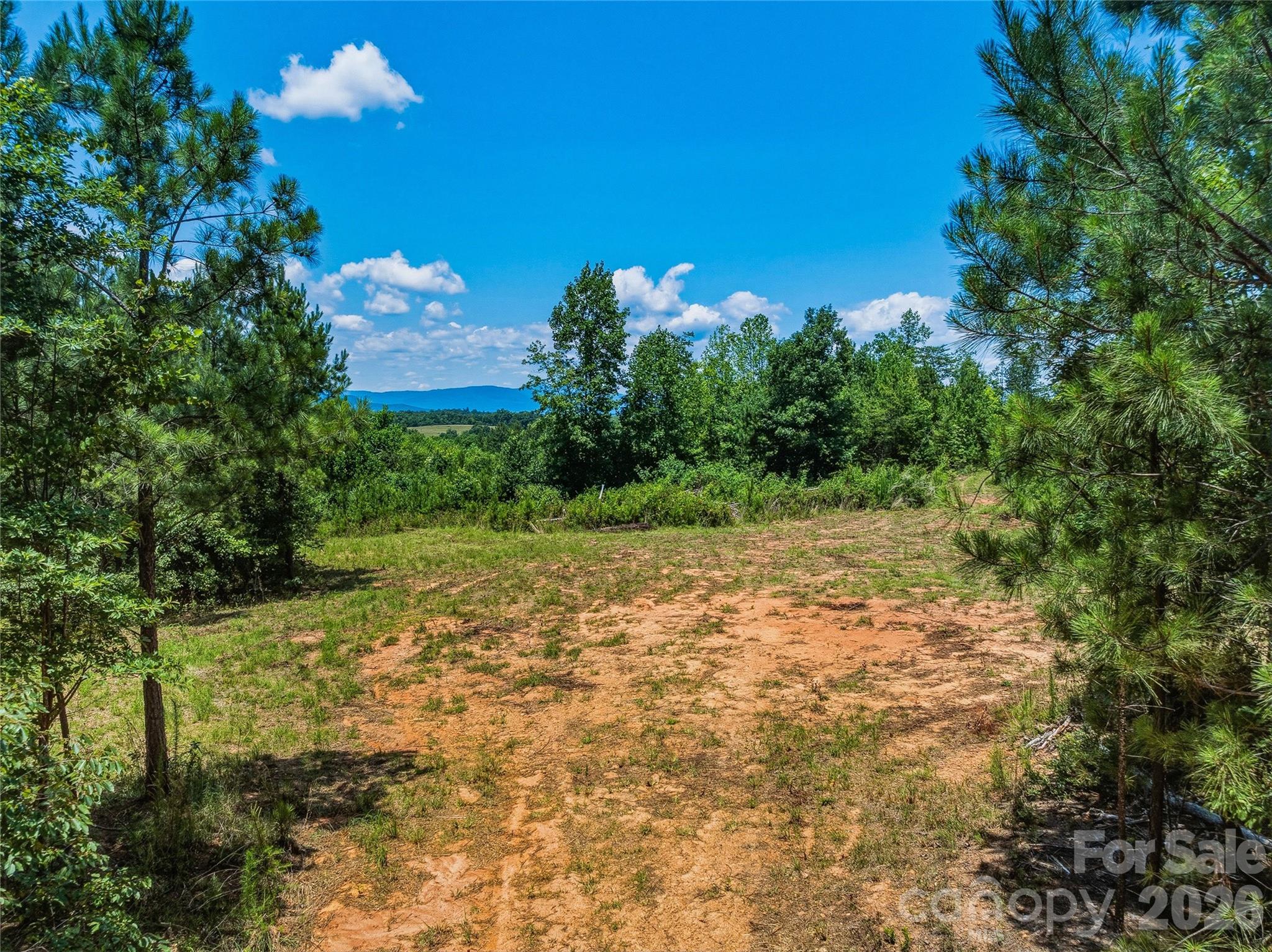 6783 Peniel Road Tryon, NC 28782 - Photo 13 of 36