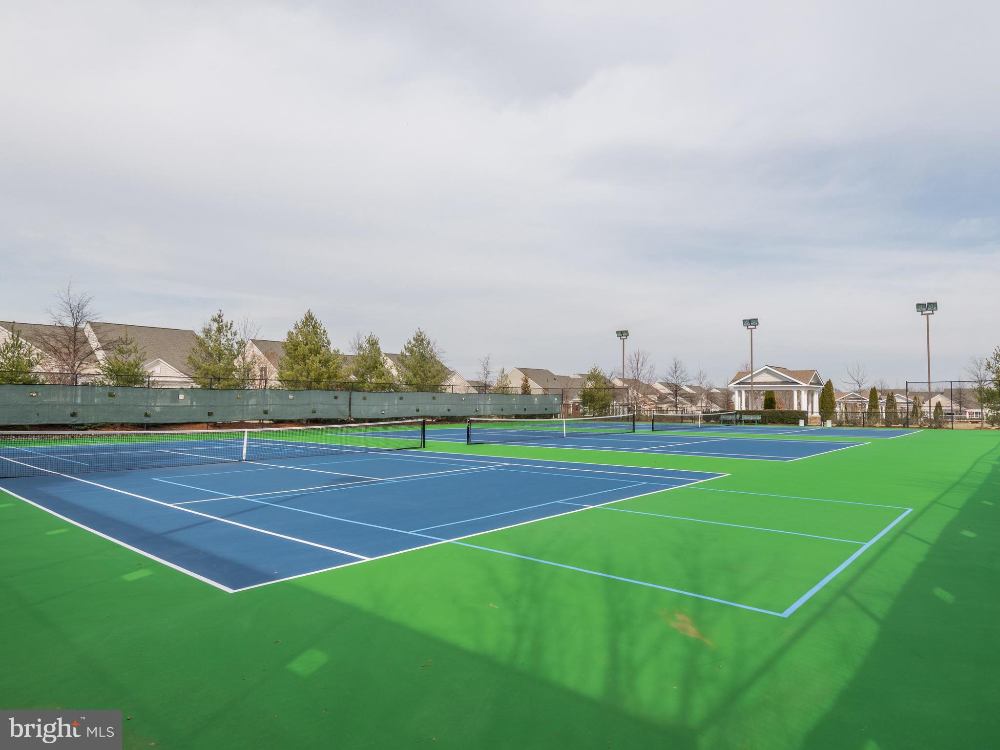 44406 Adare Manor Square Ashburn, VA 20147 - Photo 45 of 58 Tennis/Pickle Ball Courts