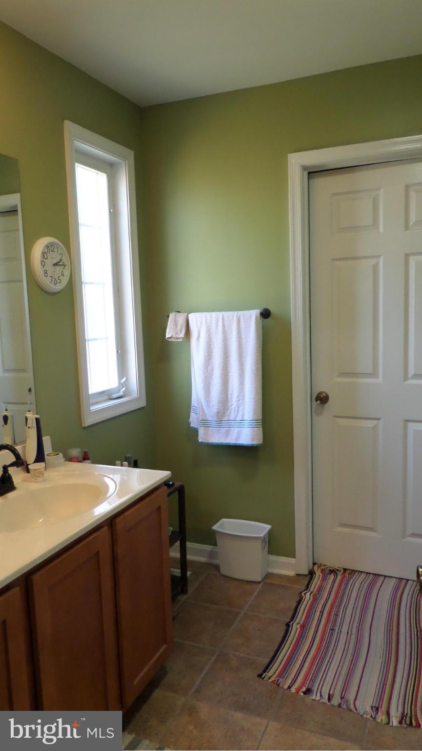 2920 Buck Hill Road Gerrardstown, WV 25420 - Photo 14 of 26 Bath (Master)
