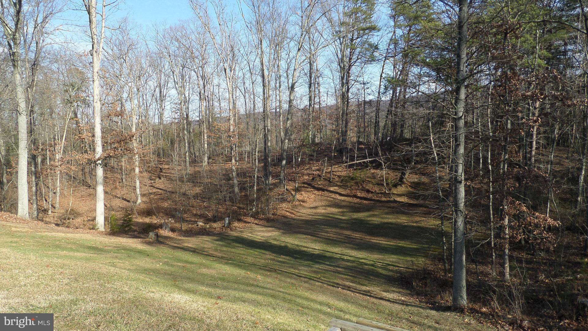 2920 Buck Hill Road Gerrardstown, WV 25420 - Photo 4 of 26 Back yard
