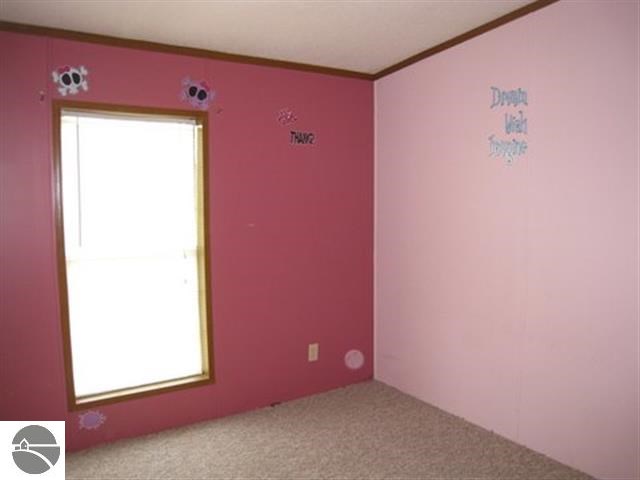 11460 East 12 Road Manton, MI 49663 - Photo 12 of 30 1748742-12.JPG