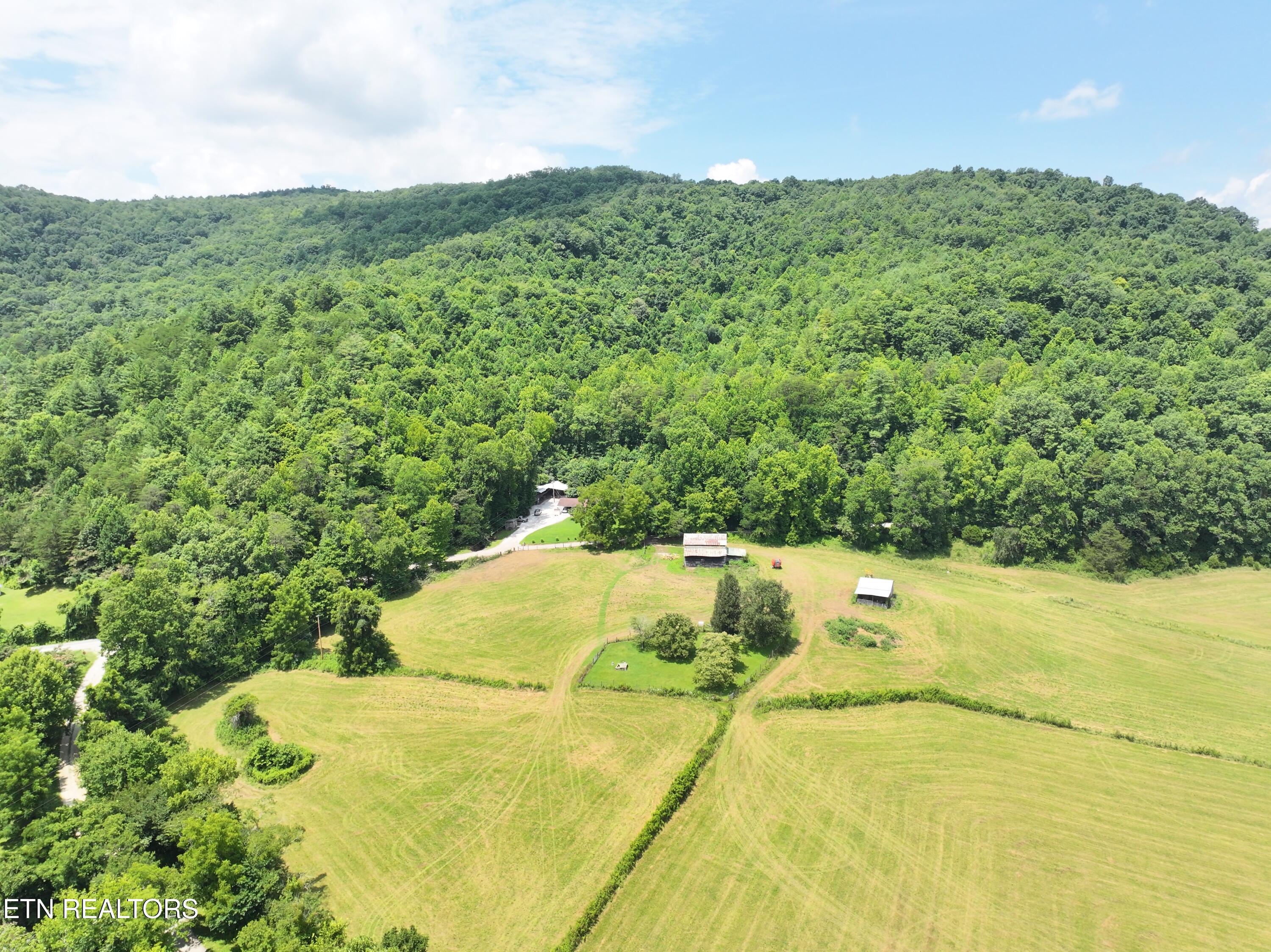 7914 Brimstone Road Robbins, TN 37852 - Photo 42 of 57 dji_fly_20260709_094244_0854_17836841029
