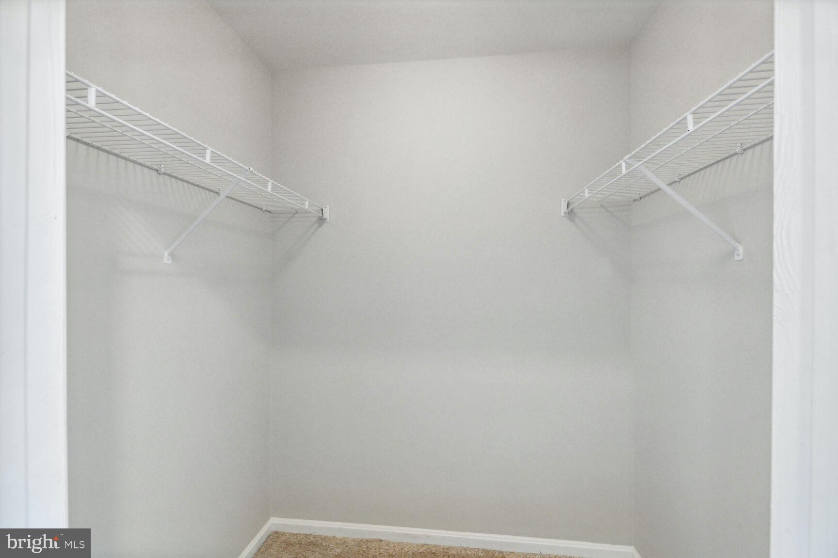 5573 Seminary Road, Unit 413 Falls Church, VA 22041 - Photo 12 of 24 Primary bedroom walk -in closet