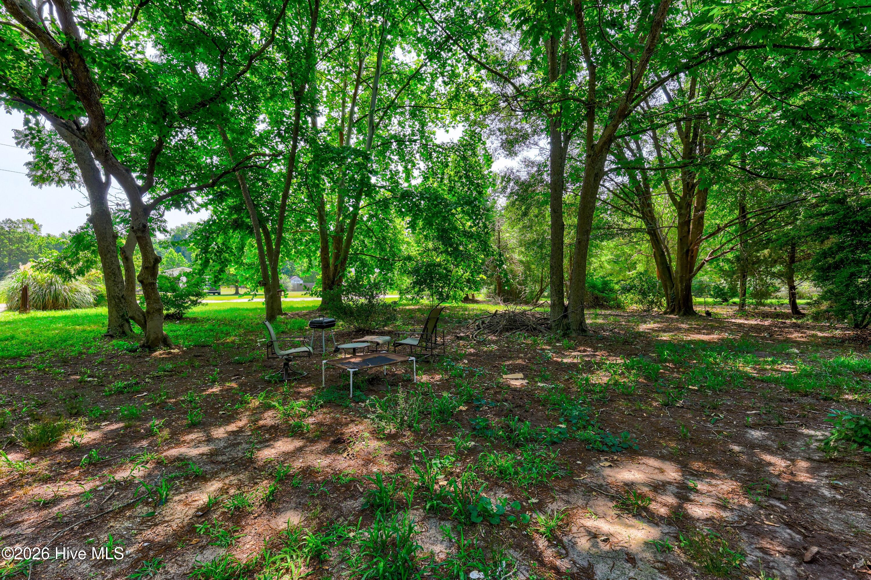 315 Messer Loop Road Burgaw, NC 28425 - Photo 4 of 17