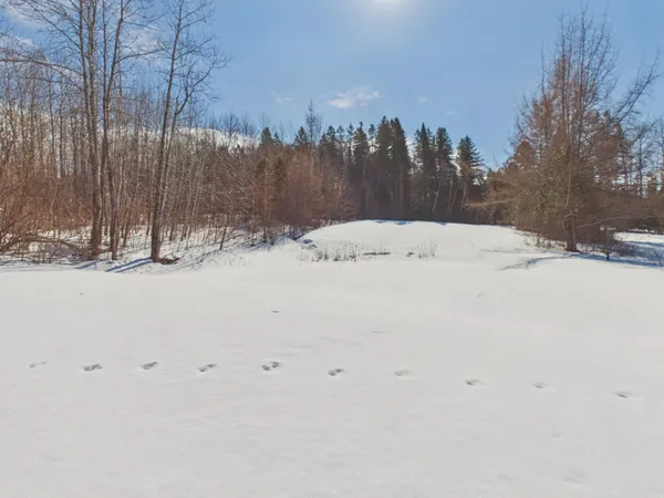 $1,050,000 | 1075 W Road, New Sweden, ME 04762