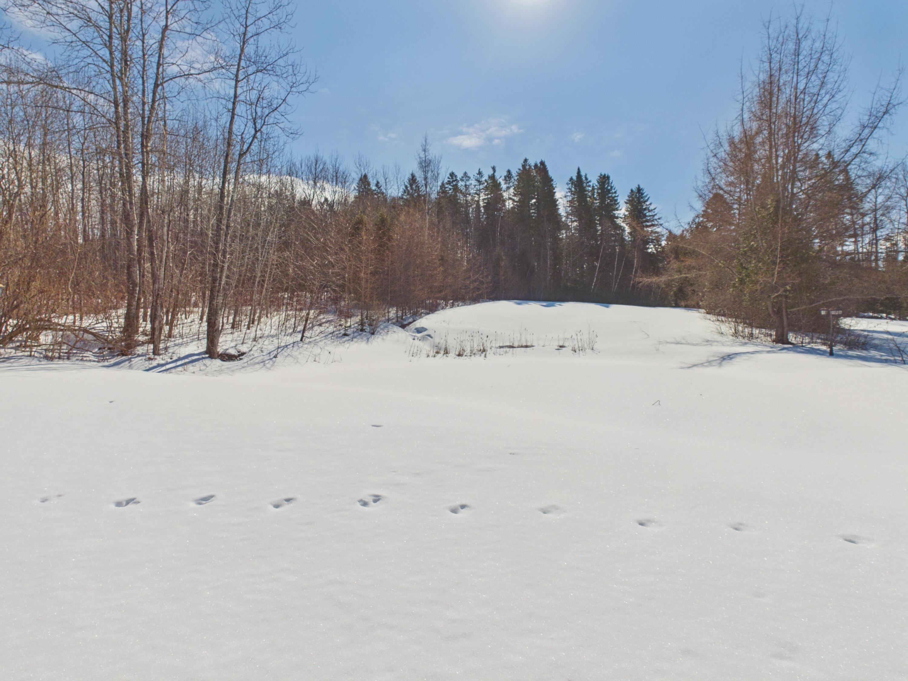 1075 W Road New Sweden, ME 04762 - Photo 77 of 83 1075 West Road New Sweden (6)