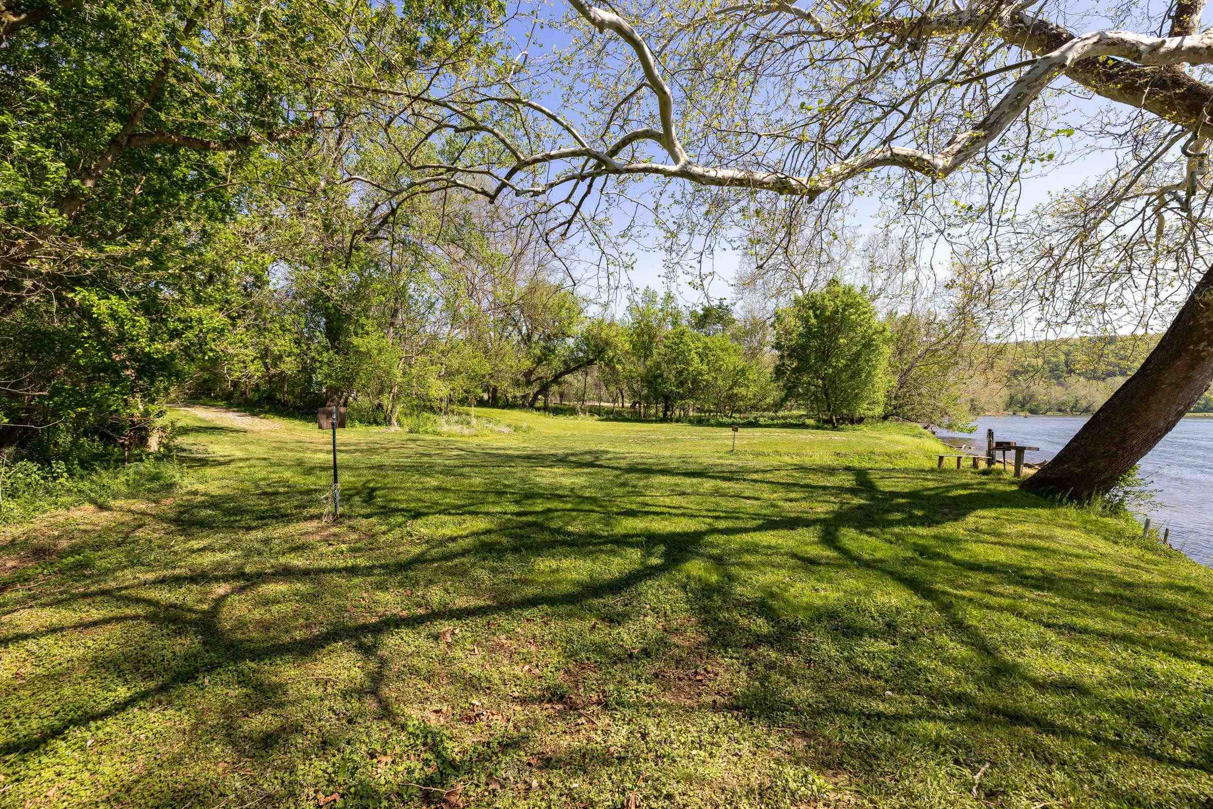 702 Richview Road Rileyville, VA 22650 - Photo 71 of 75 a view of a yard with an tree