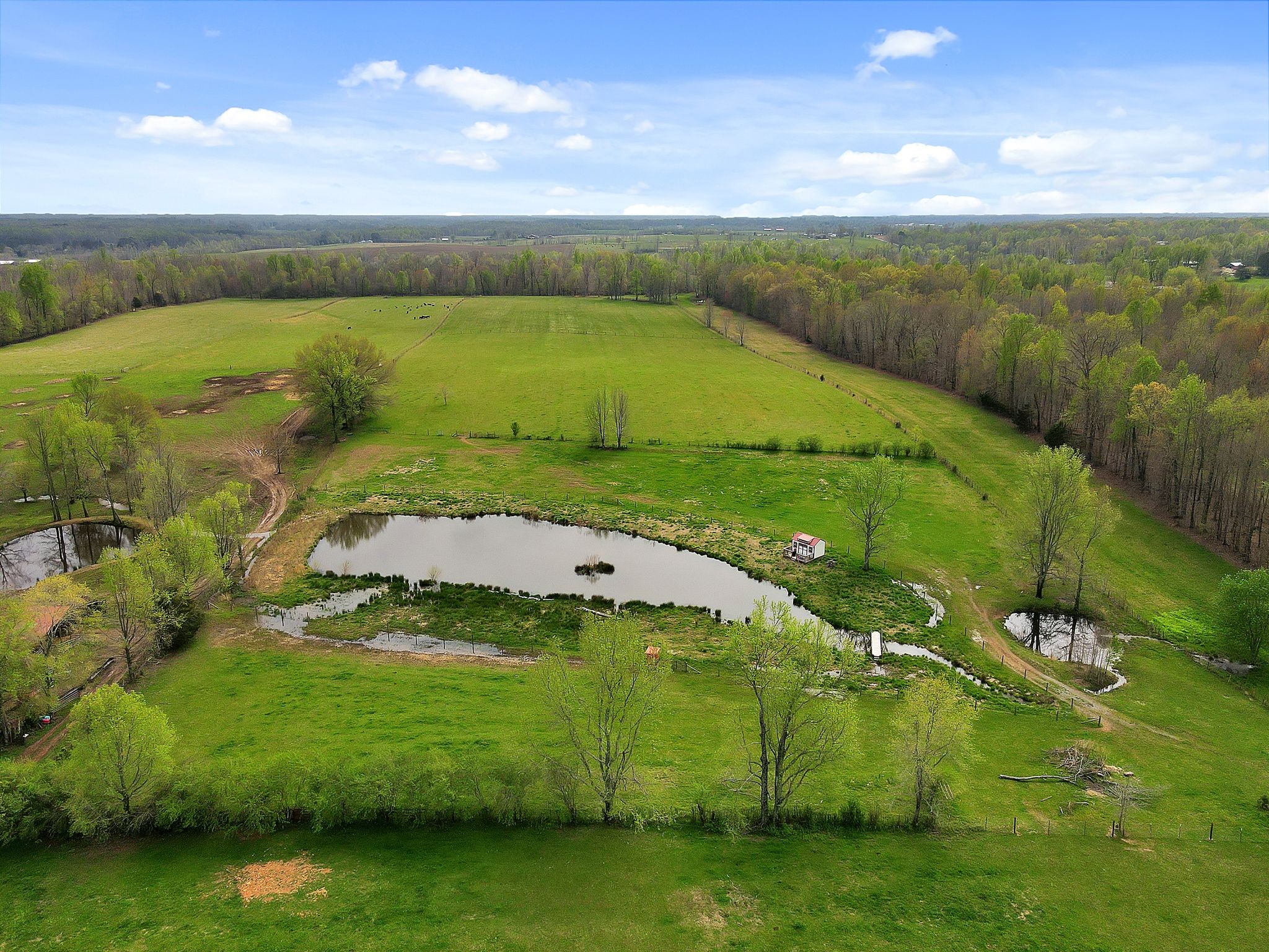 287 Howell Hill Road Fayetteville, TN 37334 - Photo 39 of 41 Gallery Image 39