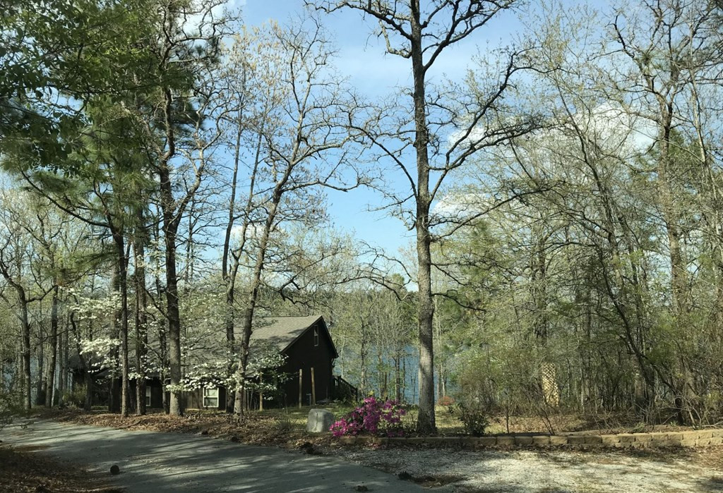 653 Edisto Lake Road Wagener, SC 29164 - Photo 23 of 33