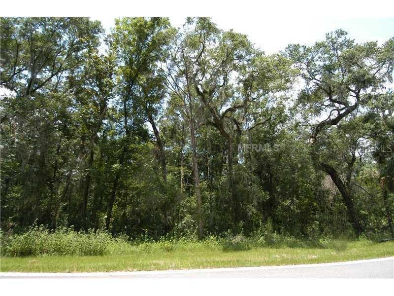 4702 Rambling River Road Brandon, FL 33511 - Photo 1 of 1 Gallery Image 1