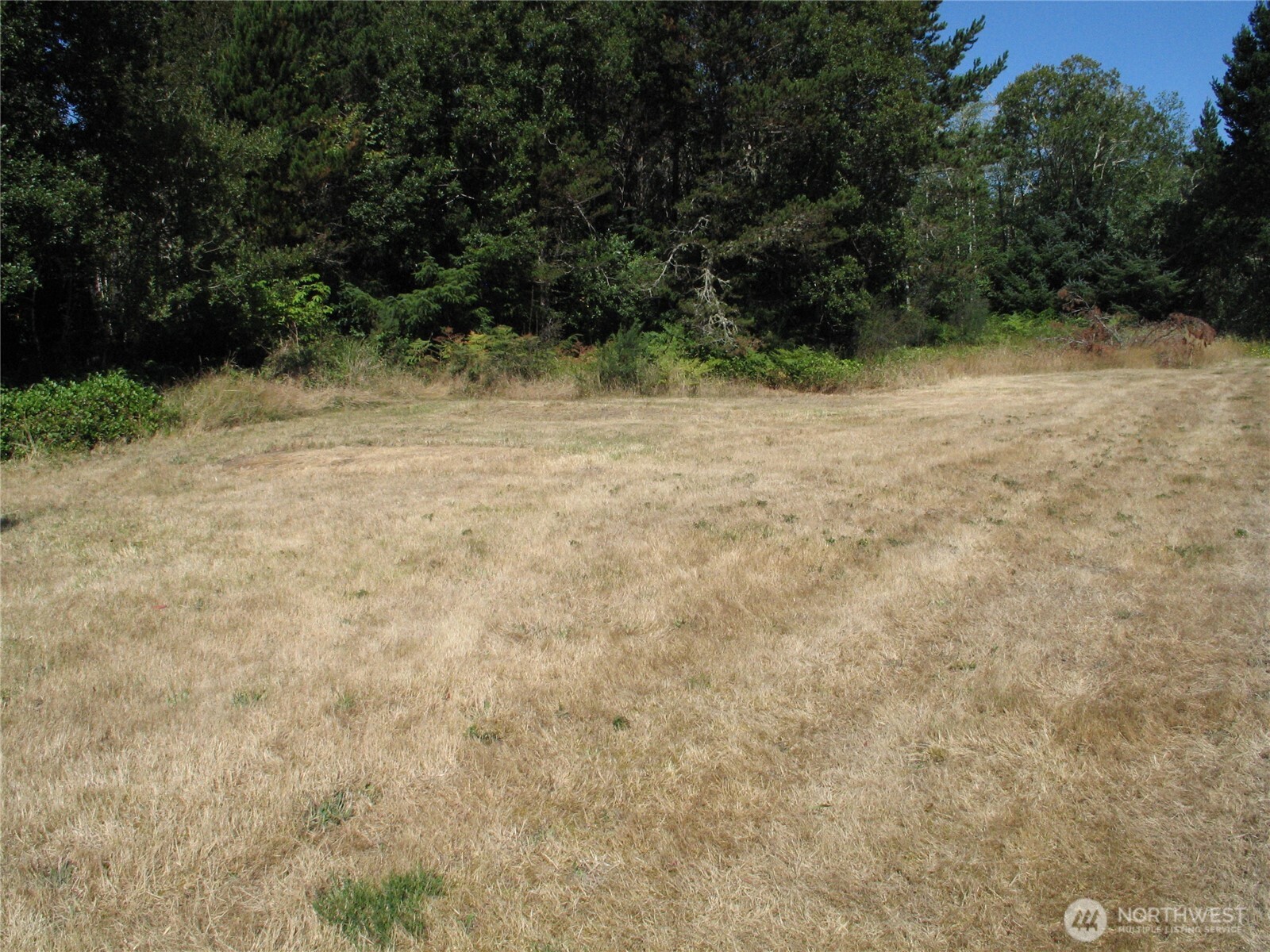 32650 R Lane Ocean Park, WA 98640 - Photo 14 of 21 Gallery Image 14