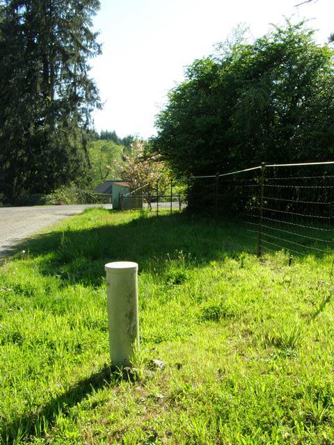 Tl#1102 Hurliman Hill Road Tillamook, OR 97141 - Photo 12 of 15 P5071221