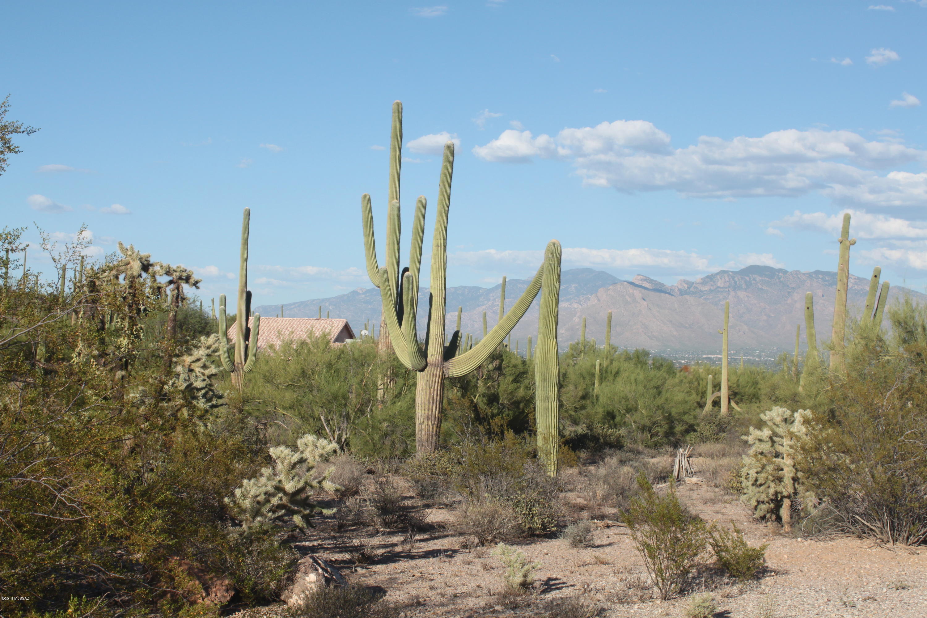 6379 West Park Ridge Road Tucson, AZ 85743 - Photo 18 of 30 Gallery Image 18