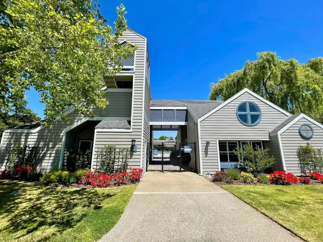 a view of a park with palm trees